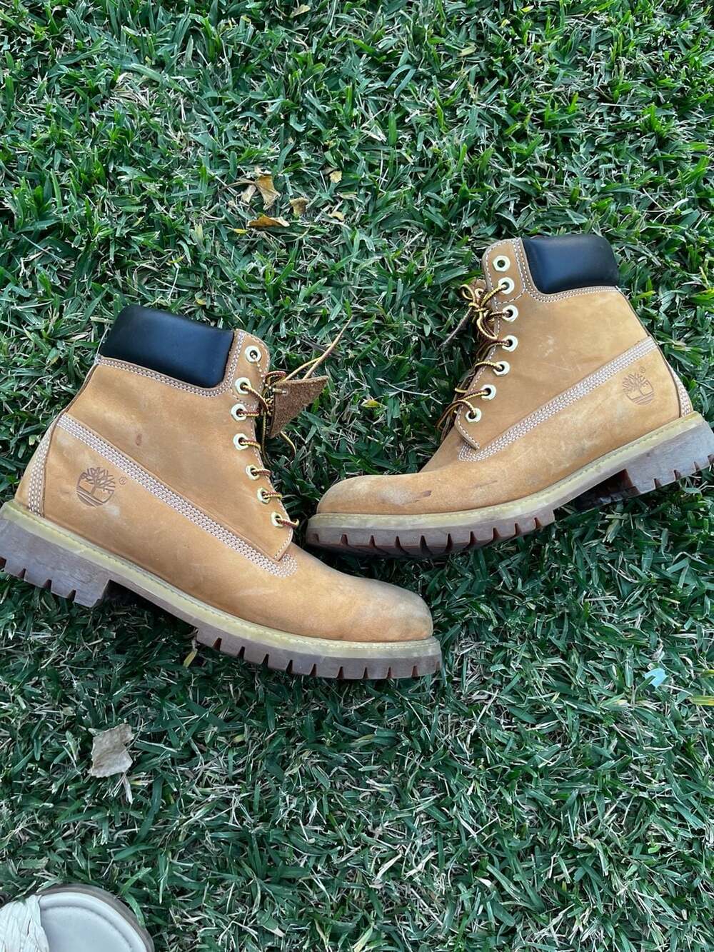 Men's Classic TIMBERLAND Waterproof 6" Inch Wheat Leather Boots ~ Size 7 ~ 42687
